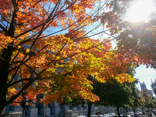 Montreal, Quebec, Canada